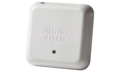 Cisco™ 100 Series Access Points